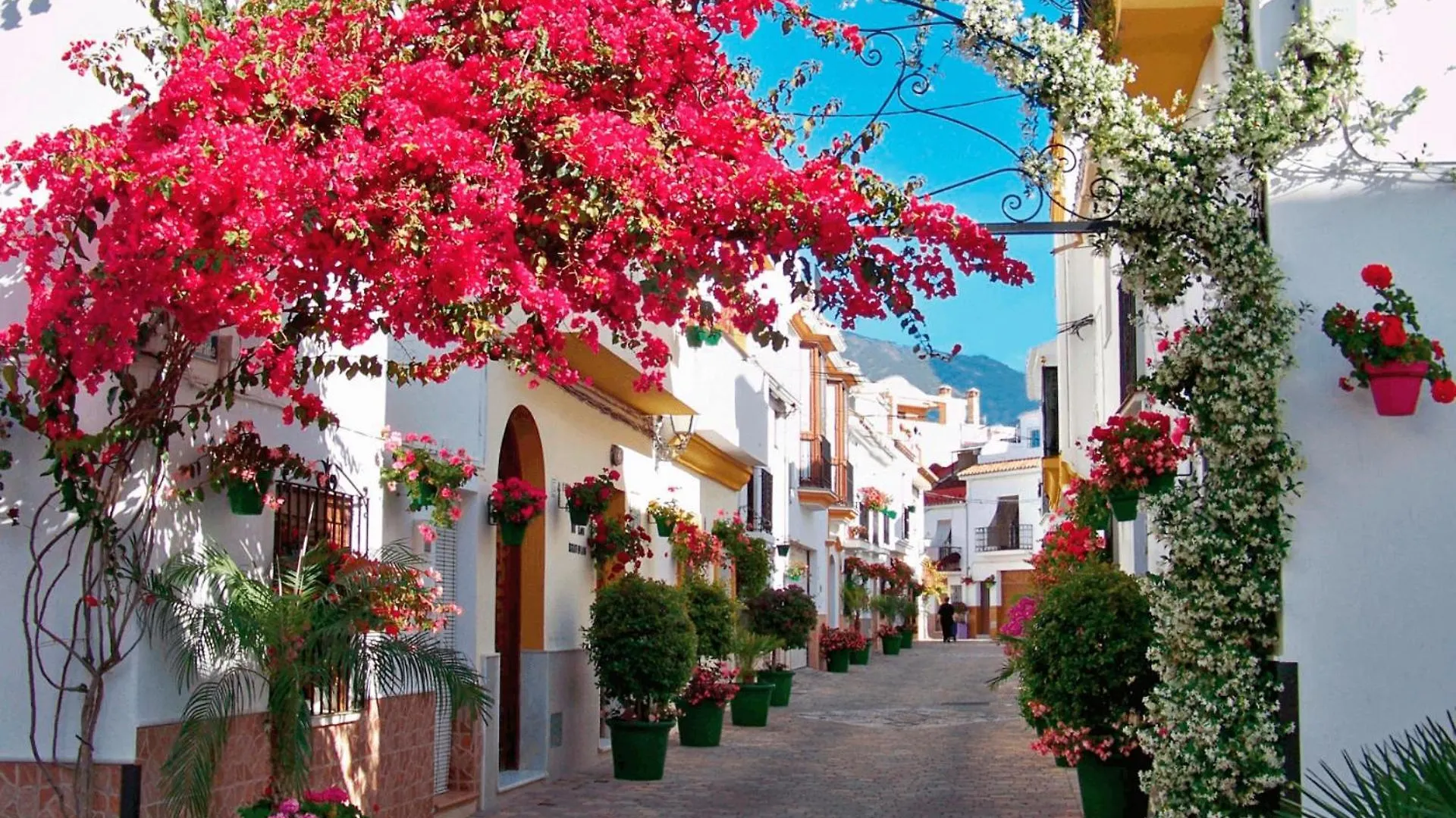 Kampaoh Estepona